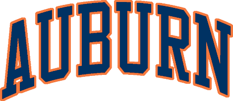 Auburn Tigers 1979-1996 Wordmark Logo diy iron on heat transfer